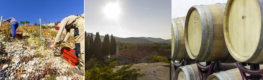 Winery